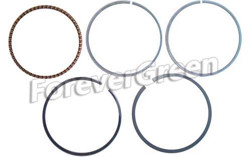 52011 Piston Rings